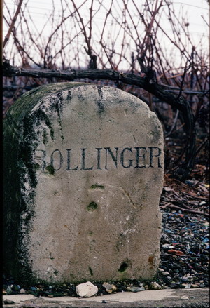 Timeless Bollinger
